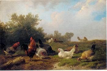 unknow artist Cocks 124 oil painting picture